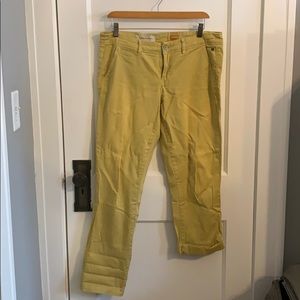 Anthropologie Pilcro and the Letterpress pants.